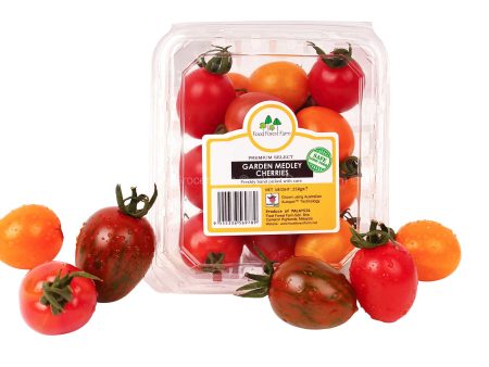 (B)FF CHERRY TOMATO-MIX MEDLEY 250G (MYS) Sale