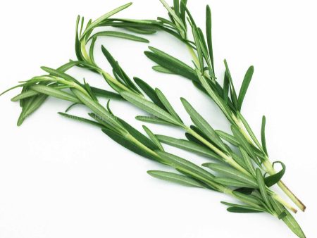 Genting Garden Rosemary (Malaysia) 50g For Sale