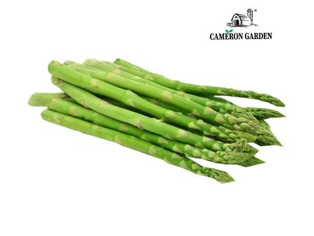 Cameron Garden Green Asparagus (Malaysia) 300g Discount