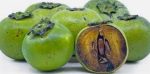 Black Sapote Fruit aka Chocolate Pudding Fruit 5 lbs Box (Unfortunately Black Sapote Fruit is on California s do not ship from Florida list) Fashion