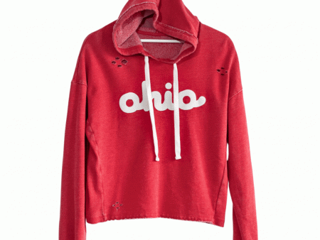 Ohio Comfy Rework Hoodie Discount