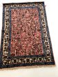 001194 Hamedan Oriental Persian Rug 3 4 x4 11  on Sale