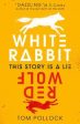 Tom Pollock: White Rabbit, Red Wolf [2018] paperback on Sale